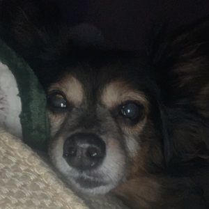 Meet your Posher, Cole